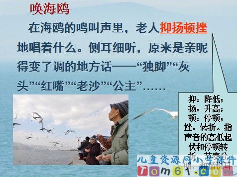 老人与海鸥课件10
