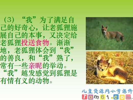 金色的脚印课件7