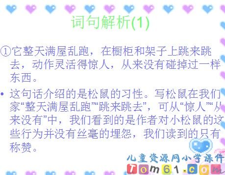 跑进家来的松鼠课件7