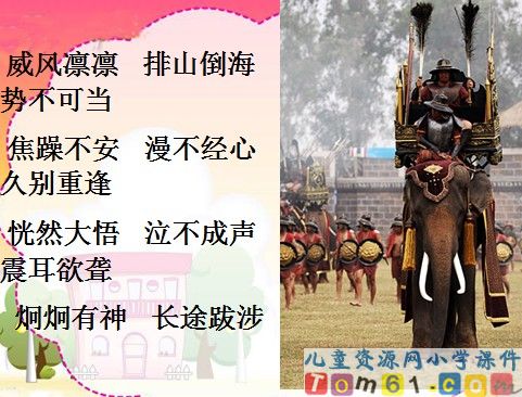 最后一头战象课件7