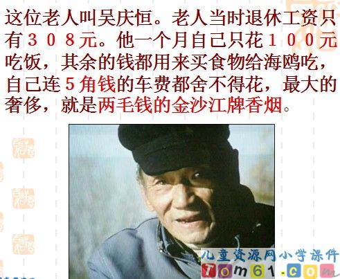 老人与海鸥课件22