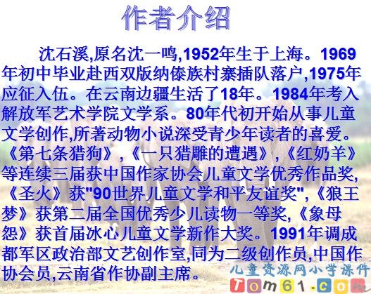 最后一头战象课件11