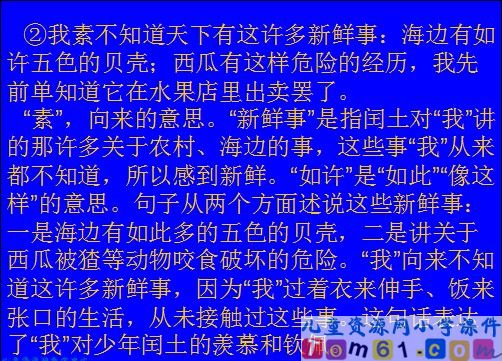 少年闰土课件23