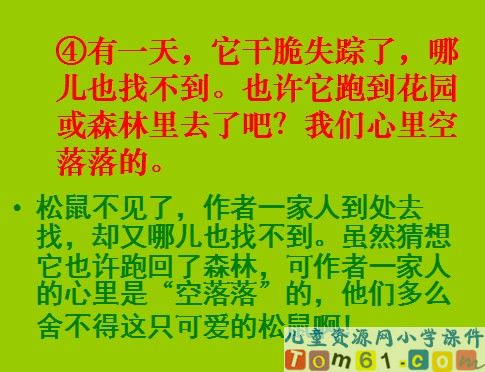 跑进家来的松鼠课件13