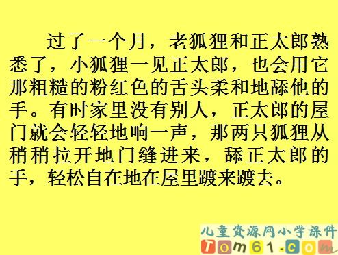 金色的脚印课件16