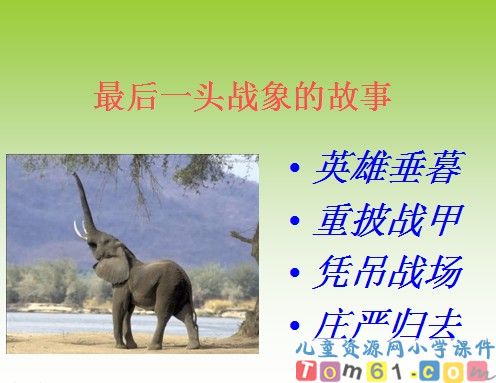 最后一头战象课件6