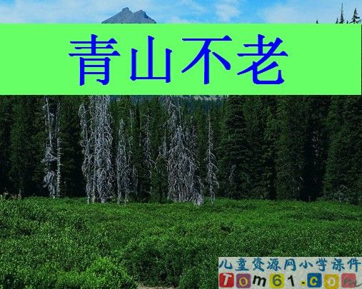 青山不老课件4