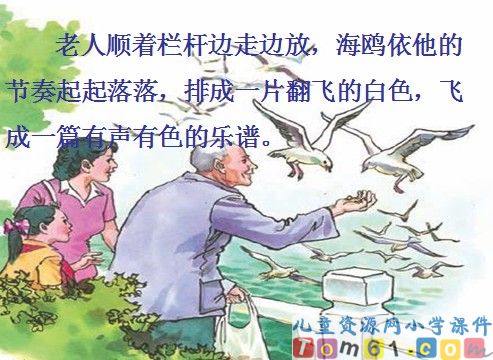 老人与海鸥课件6