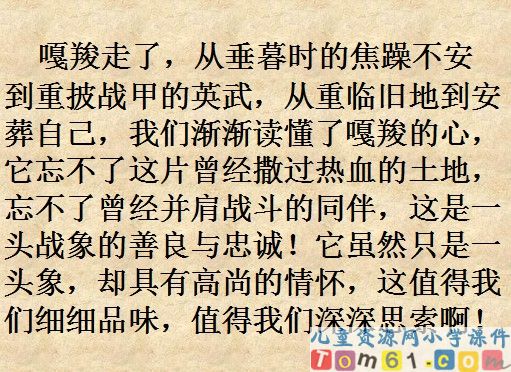 最后一头战象课件15