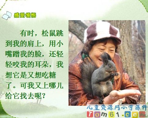 跑进家来的松鼠课件6