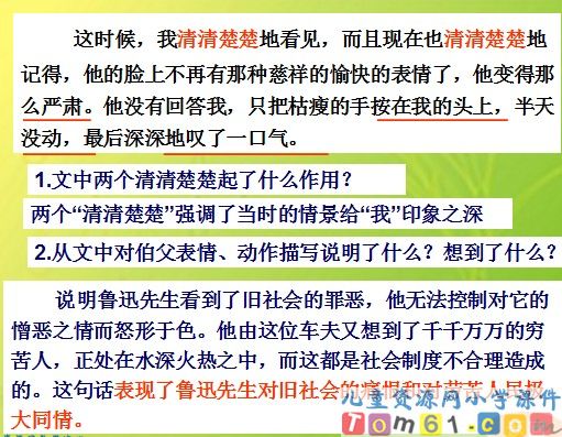 我的伯父鲁迅先生课件10