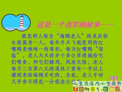 老人与海鸥课件19