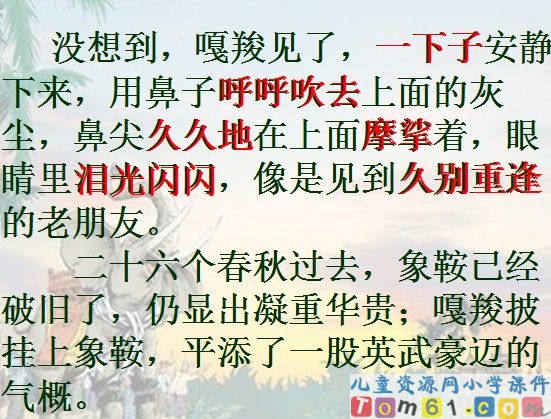 最后一头战象课件9