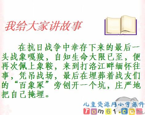 最后一头战象课件10