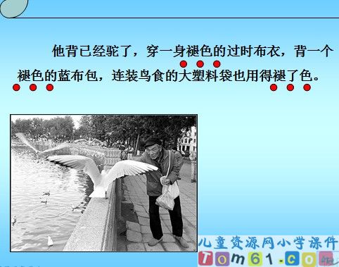 老人与海鸥课件17