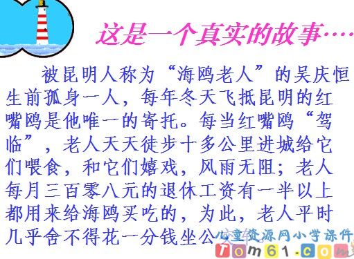 老人与海鸥课件8