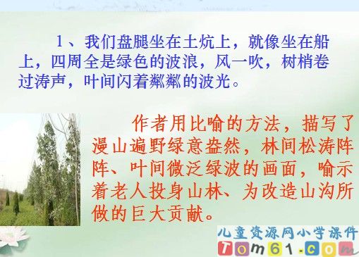 青山不老课件3