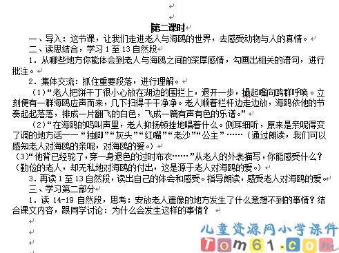 老人与海鸥教案1