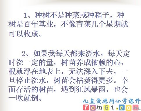 桃花心木