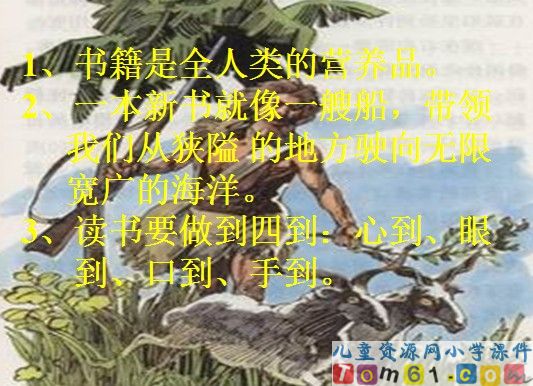 鲁滨孙漂流记课件19