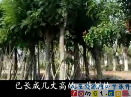 QQ截图2012031395625.jpg