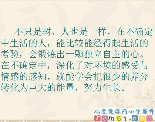 桃花心木课件18