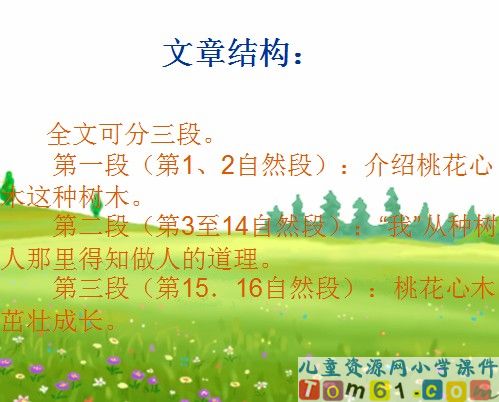 桃花心木课件9