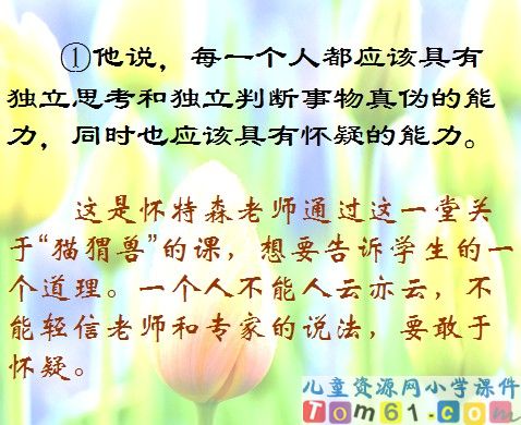 我最好的老师课件6