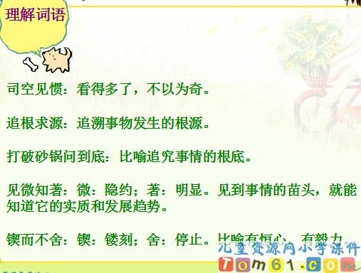 真理诞生于一百个问号之后课件8