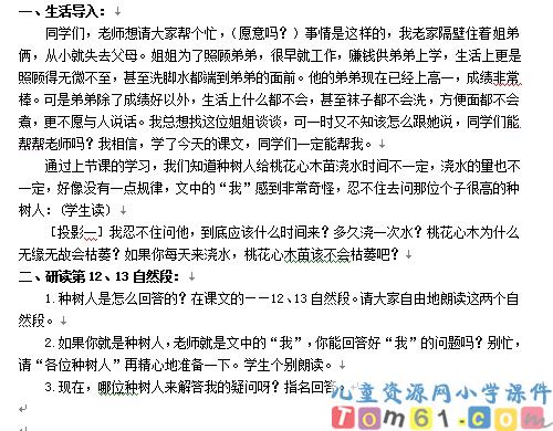 桃花心木教案4
