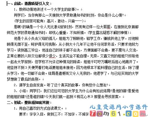 桃花心木教案9