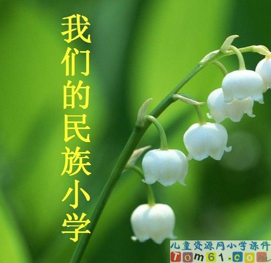 我们的民族小学7