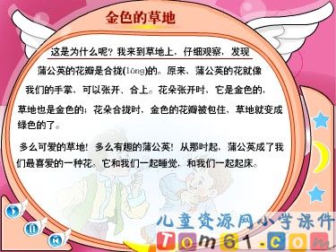 金色的草地课件2