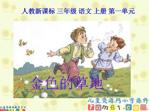 金色的草地4