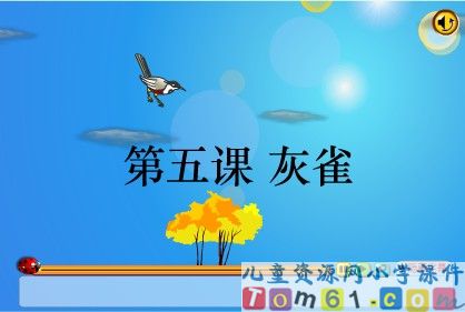灰雀1