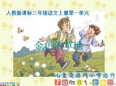 金色的草地7