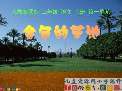 金色的草地6
