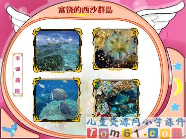 富饶的西沙群岛课件5