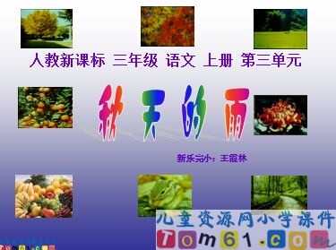 秋天的雨8