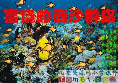 富饶的西沙群岛课件4