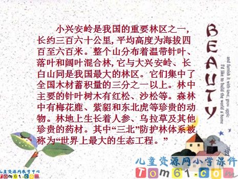 美丽的小兴安岭课件3