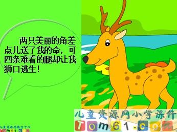 狮子和鹿课件6