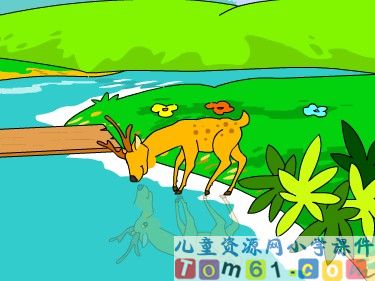狮子和鹿课件7
