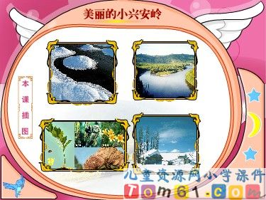 美丽的小兴安岭课件1