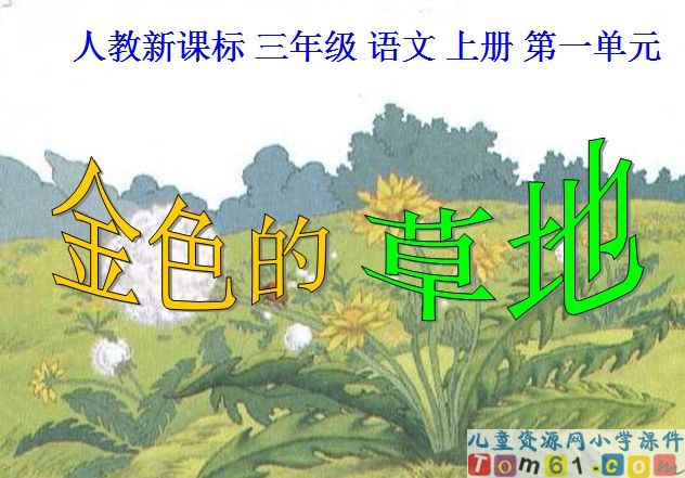 金色的草地