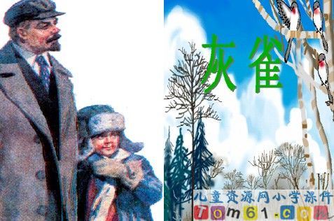 灰雀