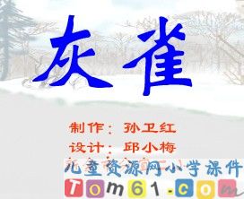灰雀