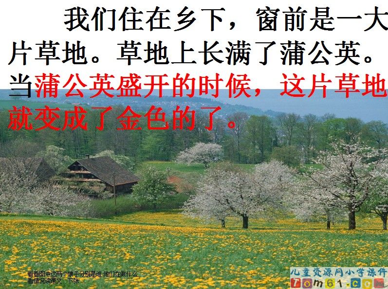 金色的草地