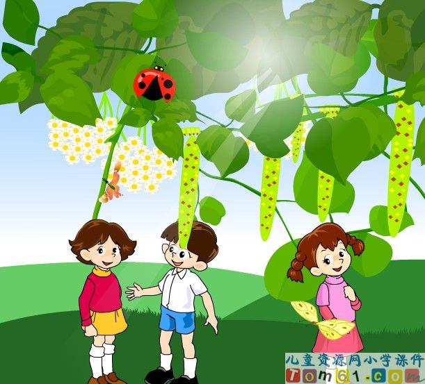 槐乡的孩子