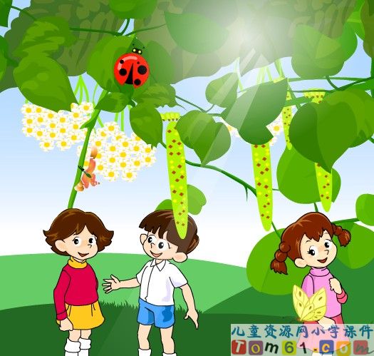 槐乡的孩子
